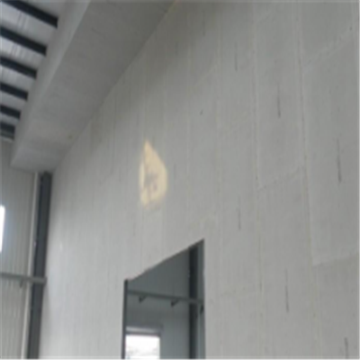 桃源新型建筑材料掺多种工业废渣的ALC|ACC|FPS模块板材轻质隔墙板